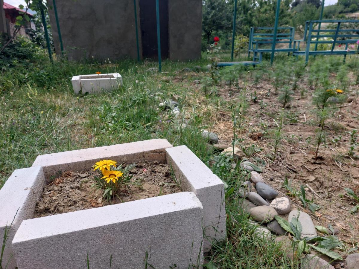 Green House In Vazisubani Τυφλίδα Εξωτερικό φωτογραφία