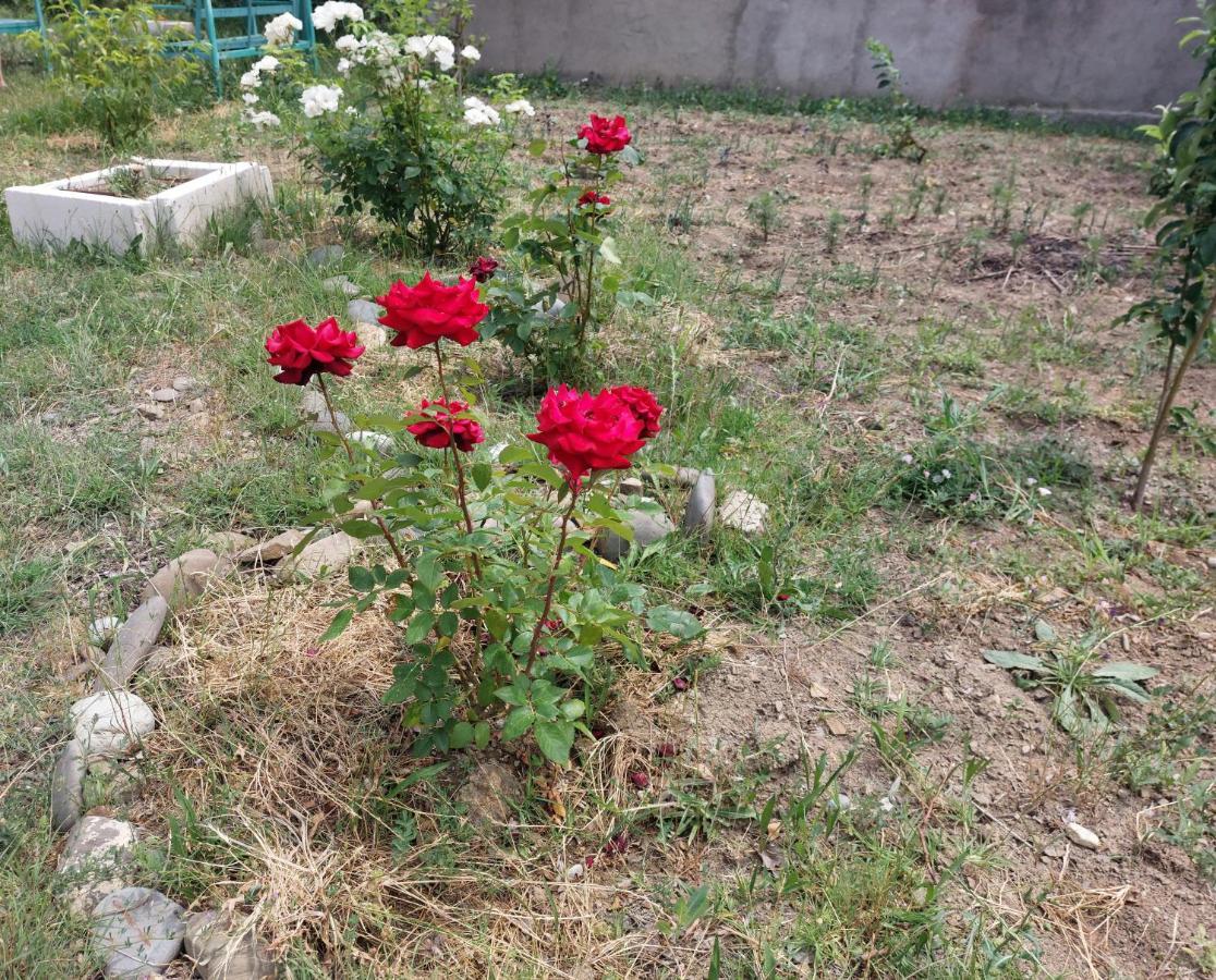 Green House In Vazisubani Τυφλίδα Εξωτερικό φωτογραφία